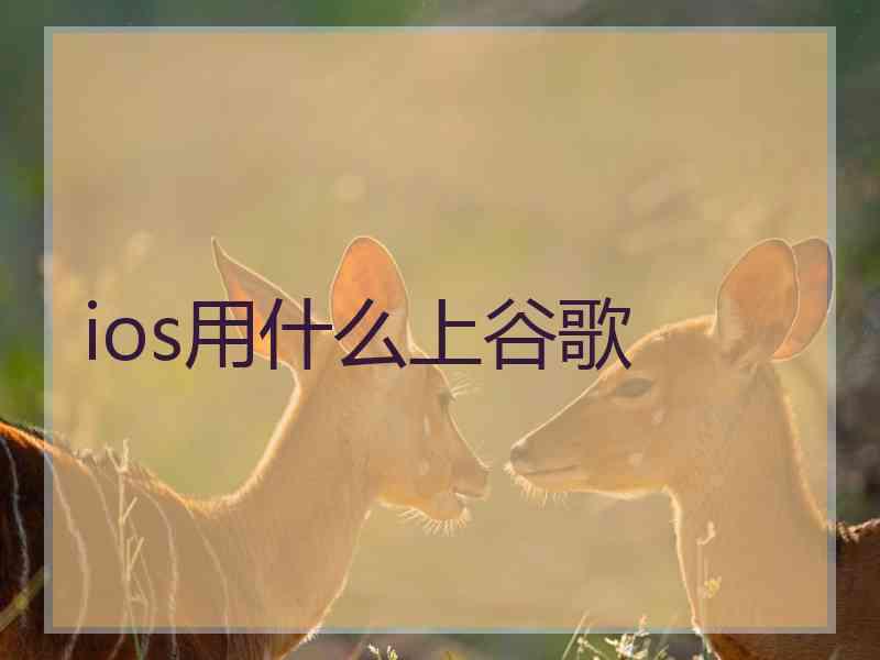 ios用什么上谷歌