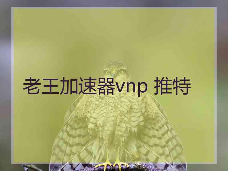 老王加速器vnp 推特