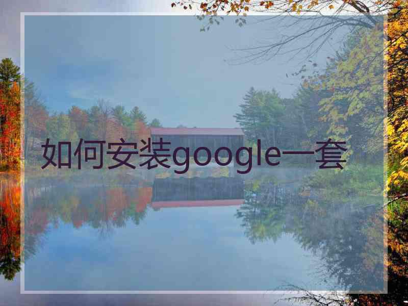 如何安装google一套