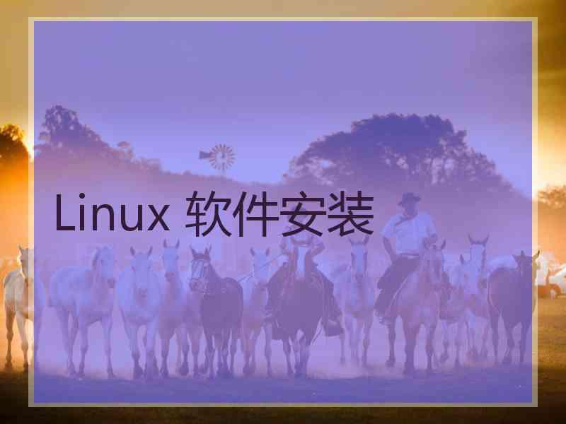 Linux 软件安装