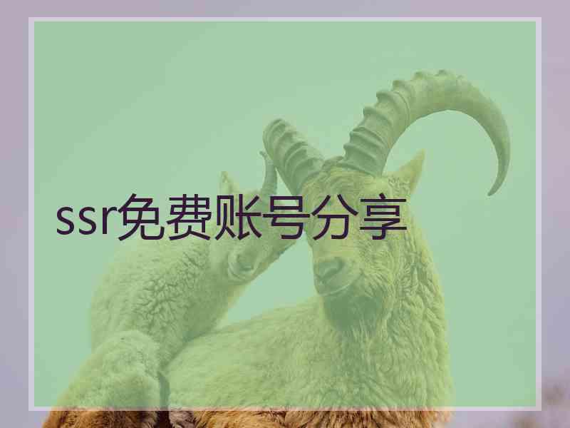 ssr免费账号分享