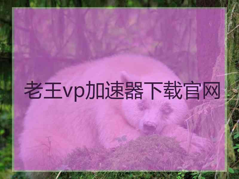 老王vp加速器下载官网