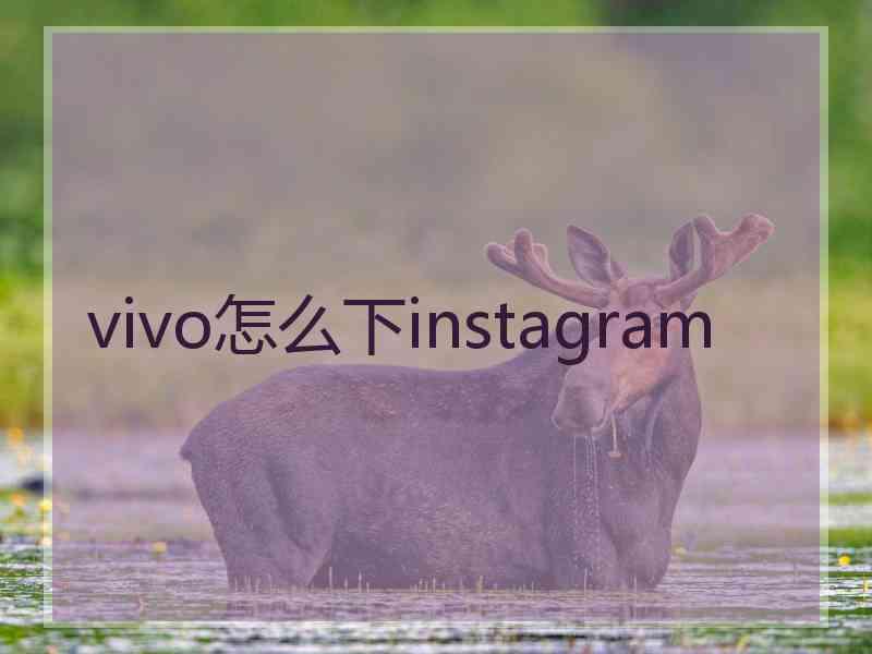 vivo怎么下instagram