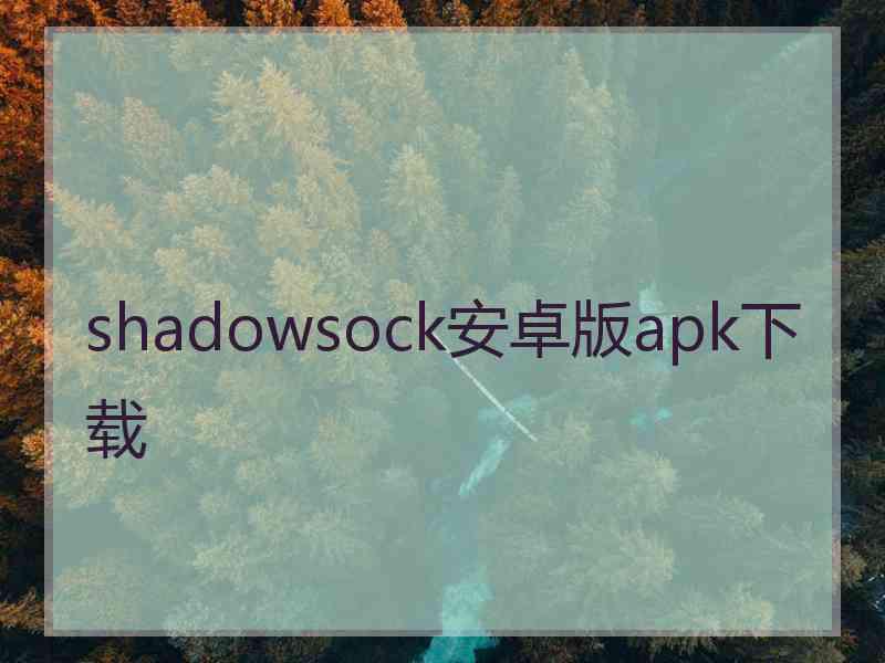 shadowsock安卓版apk下载