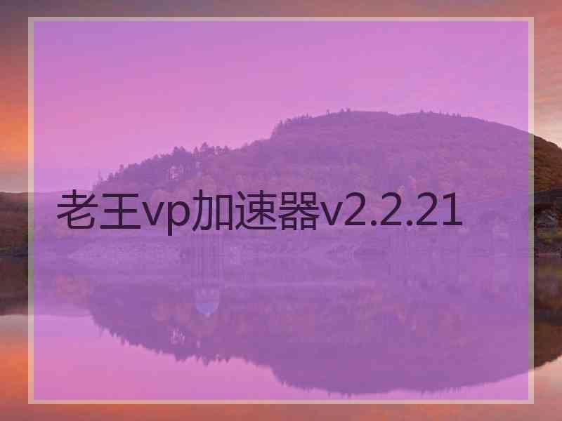 老王vp加速器v2.2.21