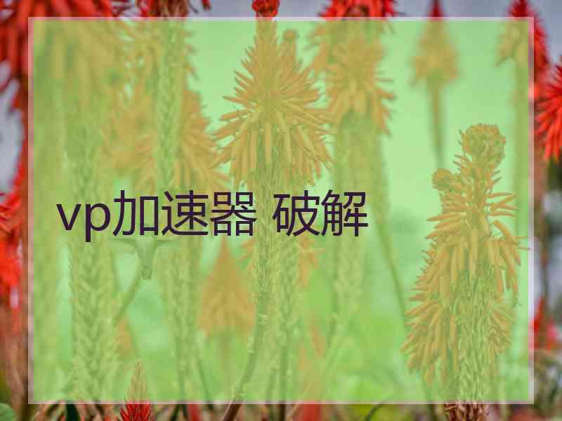 vp加速器 破解