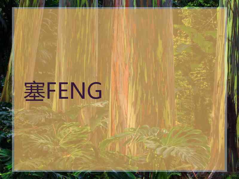 塞FENG