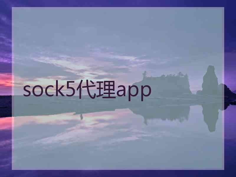 sock5代理app