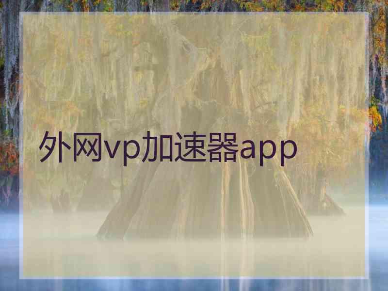 外网vp加速器app