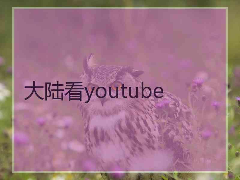 大陆看youtube