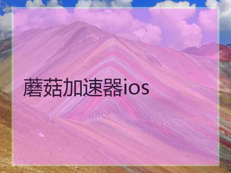 蘑菇加速器ios