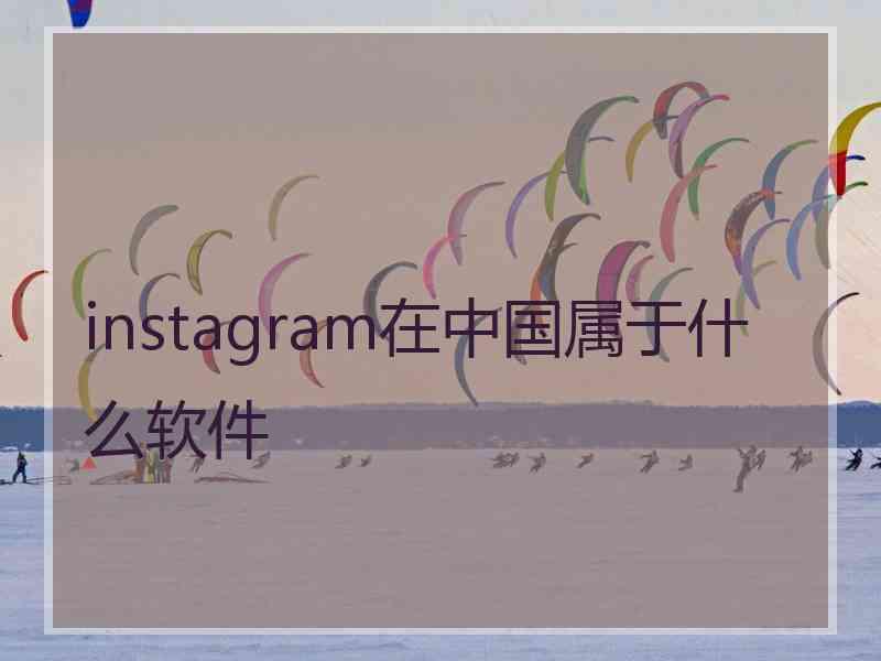 instagram在中国属于什么软件