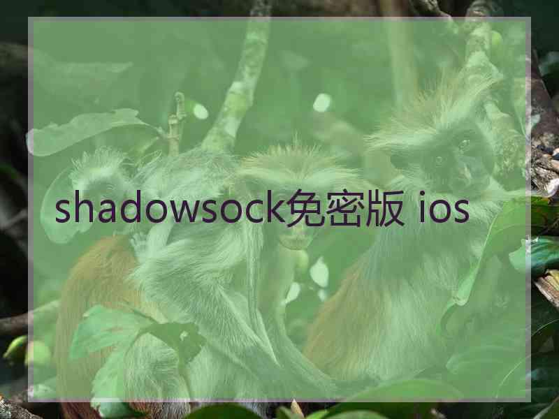 shadowsock免密版 ios