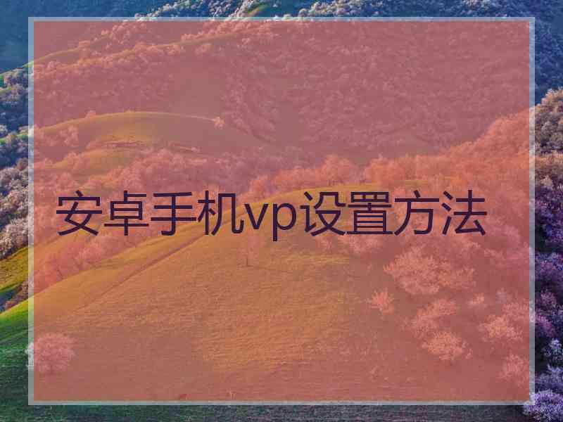 安卓手机vp设置方法