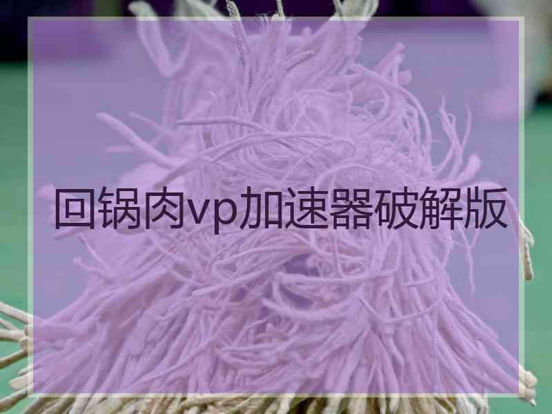 回锅肉vp加速器破解版