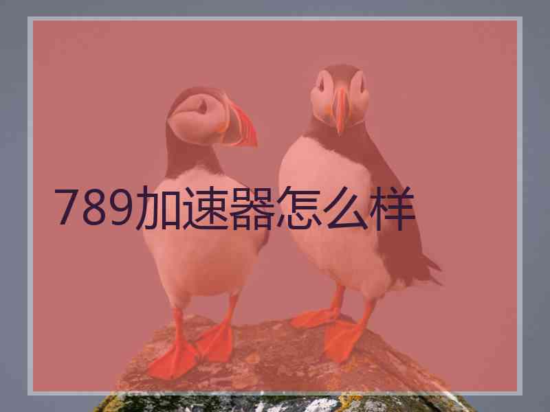 789加速器怎么样