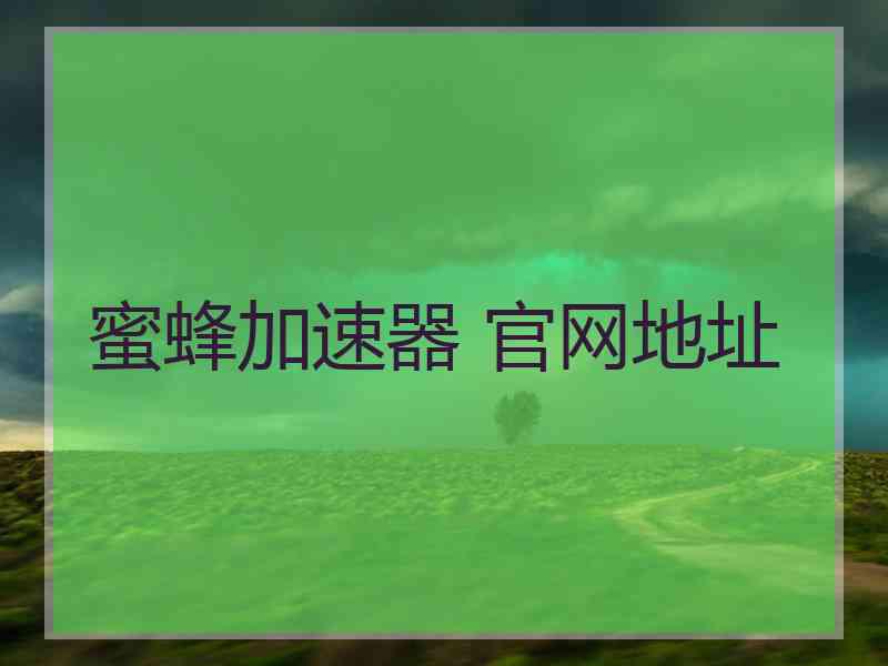 蜜蜂加速器 官网地址