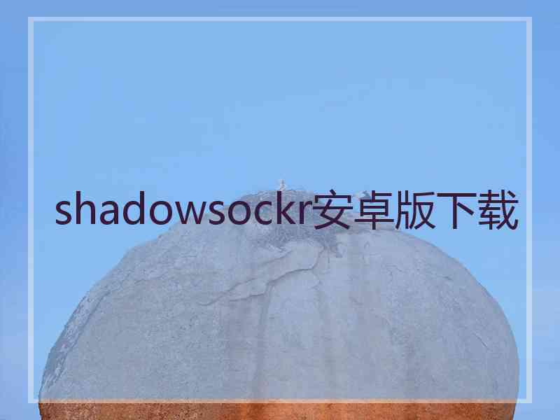 shadowsockr安卓版下载