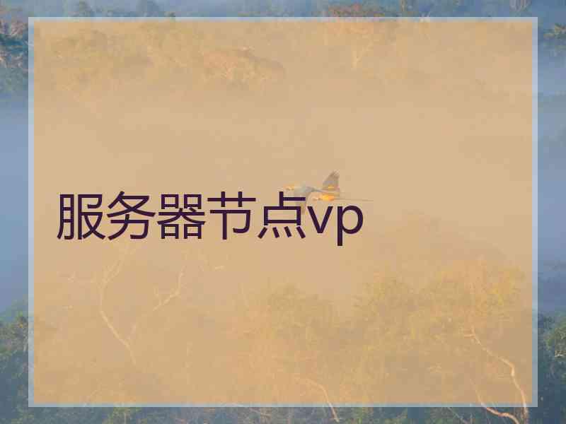 服务器节点vp