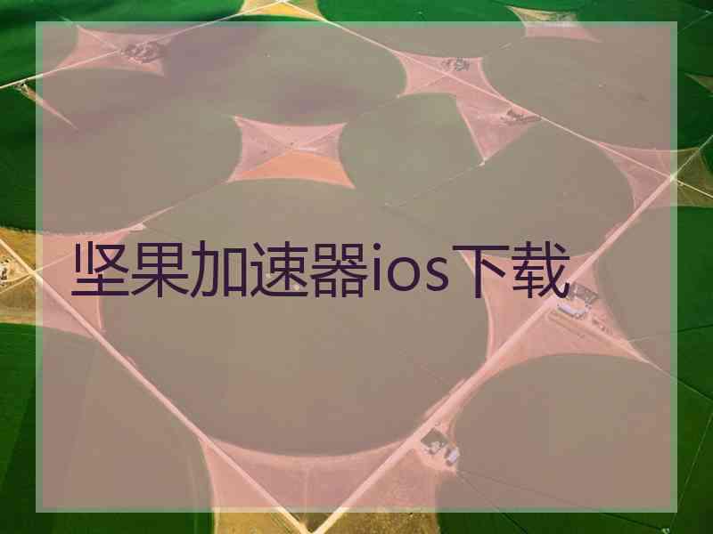 坚果加速器ios下载